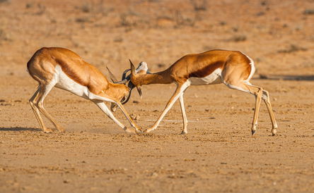 Northern Cape Tour