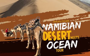 Namibia Desert meets Ocean Tour