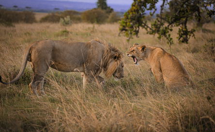  Mpumalanga Tour