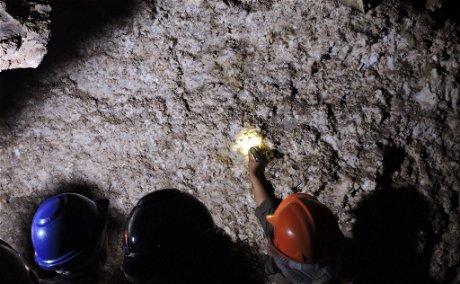 Cradle of humankind cave