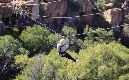 Cradle of Humankind Experience