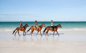 BEACH RIDE WITH HORSES
