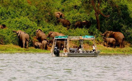 3 Days Murchison Falls National Park Safari