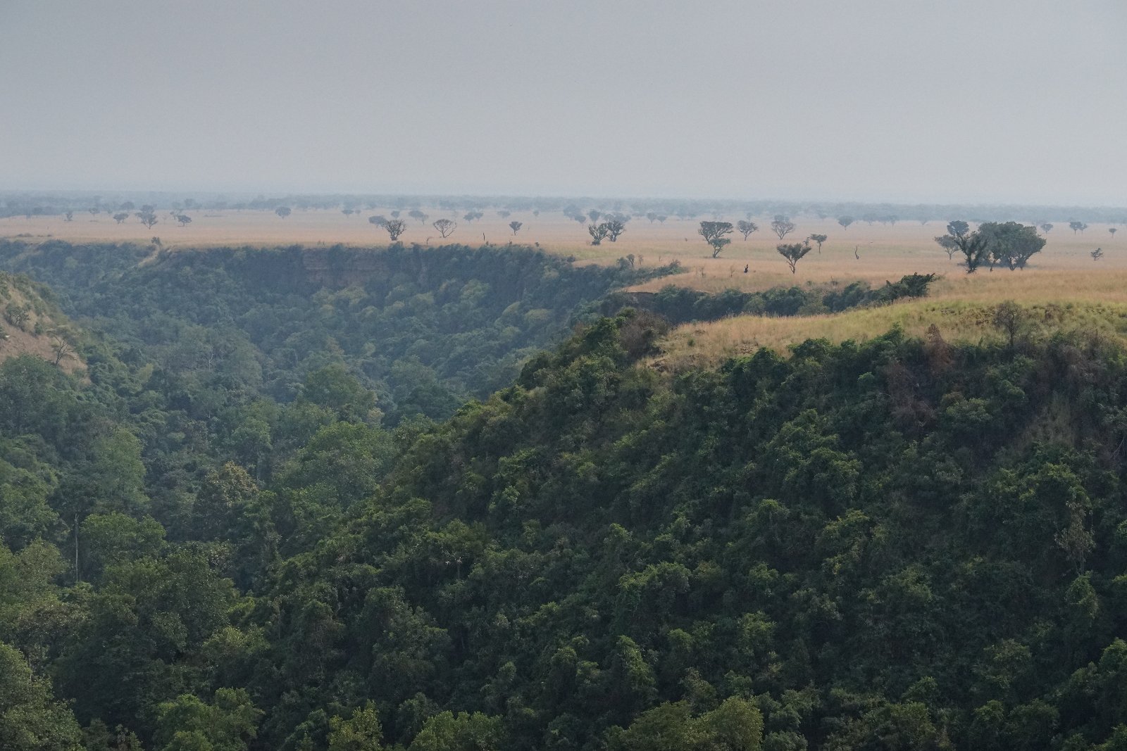 Bwindi Impenetrable forest view for gorilla trekking tours