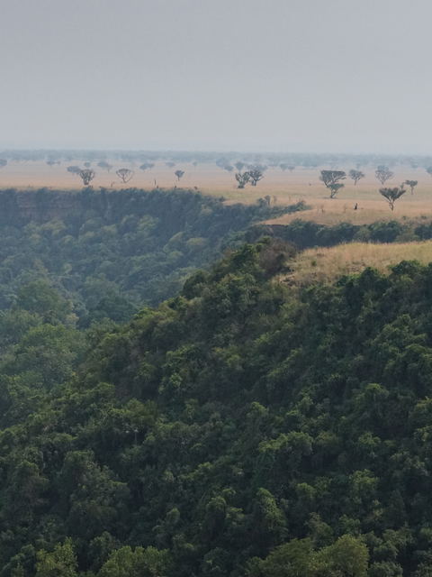 Bwindi Impenetrable forest view for gorilla trekking tours