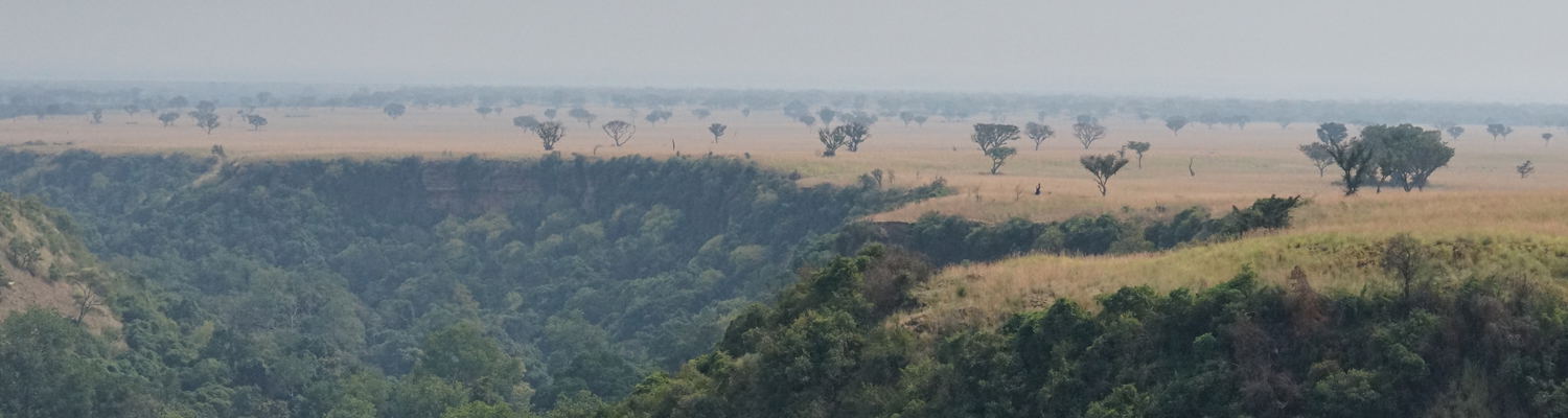 Bwindi Impenetrable forest view for gorilla trekking tours
