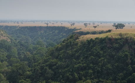 Bwindi Impenetrable forest view for gorilla trekking tours Bwindi Impenetrable forest view for gorilla trekking tours