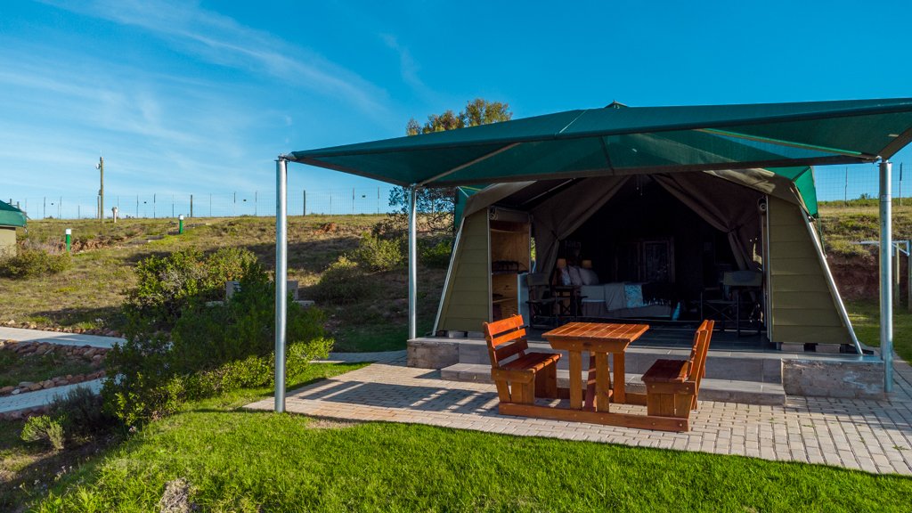 Glamping at Hartenbos Private Game Lodge