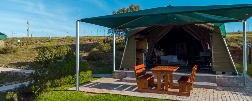 Glamping at Hartenbos Private Game Lodge