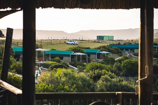 Glamping at Hartenbos Private Game Lodge