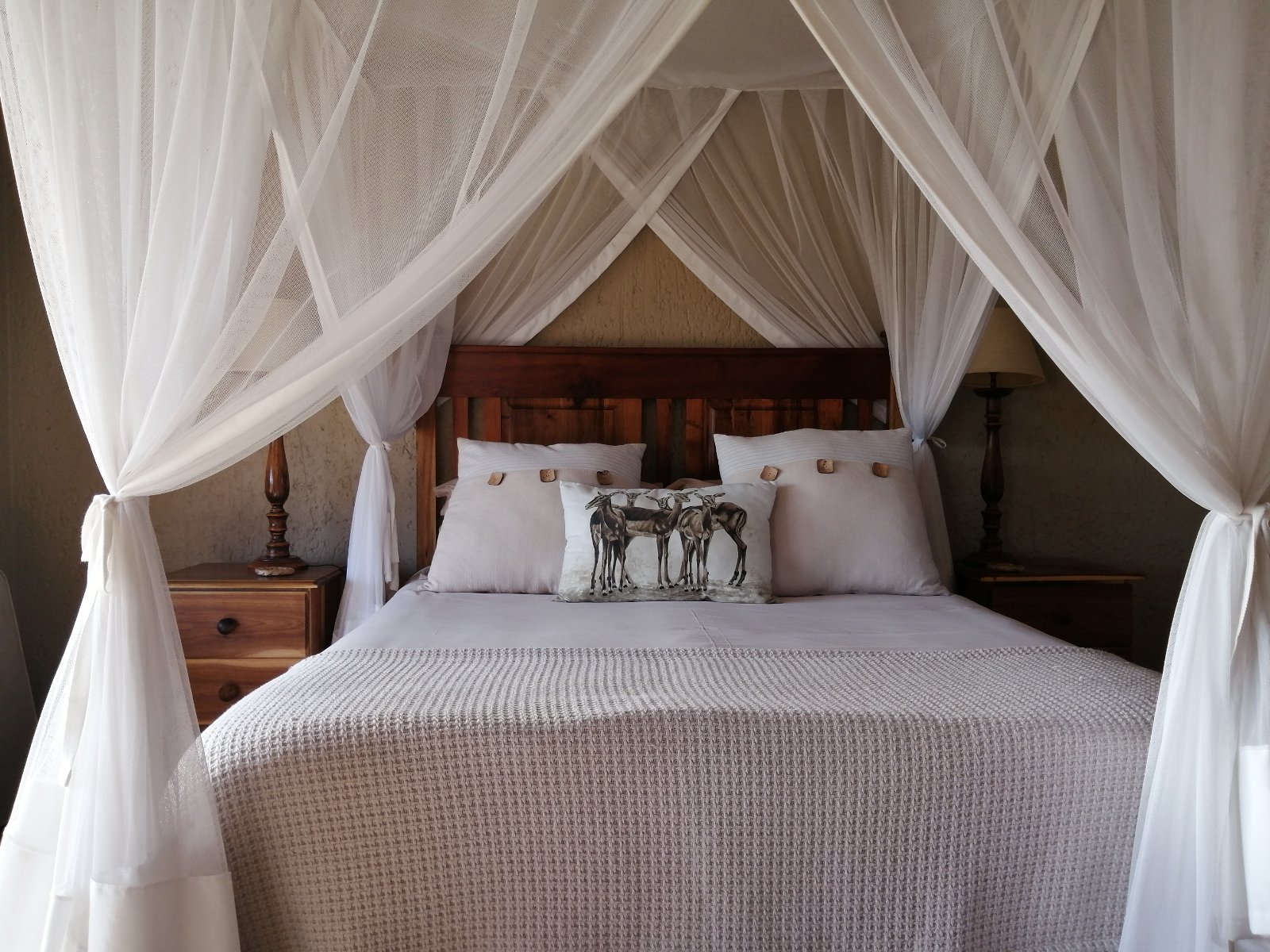 Guest Reviews