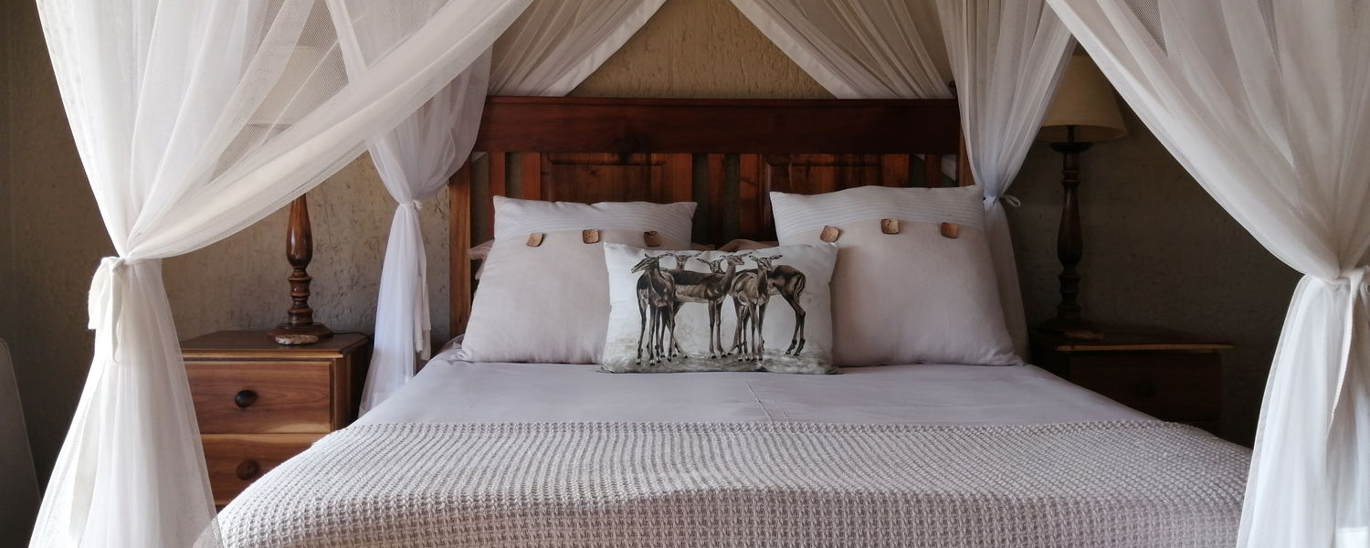 Guest Reviews