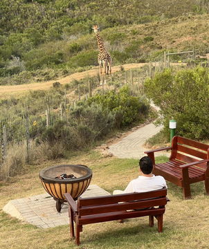 Guest experience at Hartenbos Game Lodge