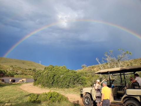 On safari with Hartenbos Game Lodge