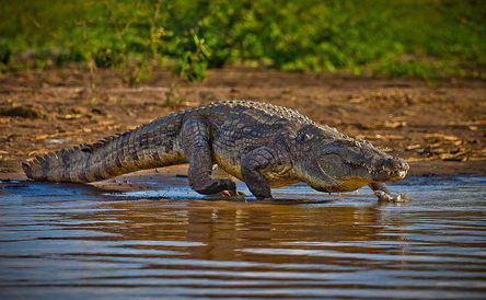 4 Days Arba Minch and Hawassa