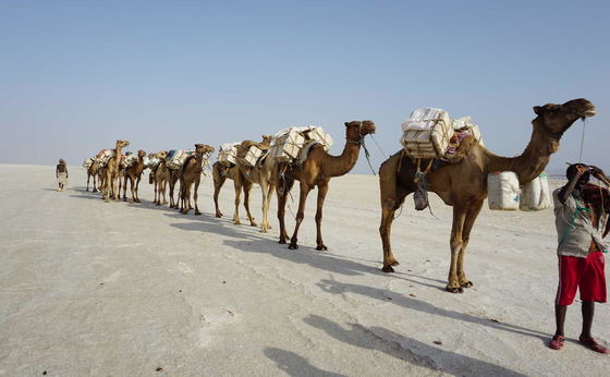 4 Days Danakil Depression Tour