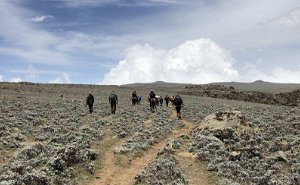3 Days Bale Mountains Trekking