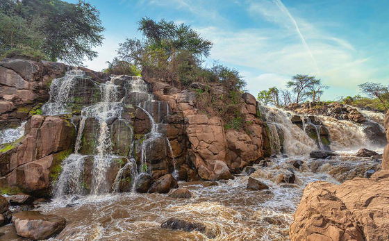 2 Days Discover Awash National Park