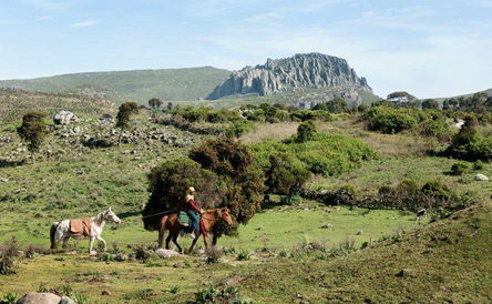 9 Days Bale Mountain Trekking