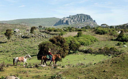 9 Days Bale Mountain Trekking