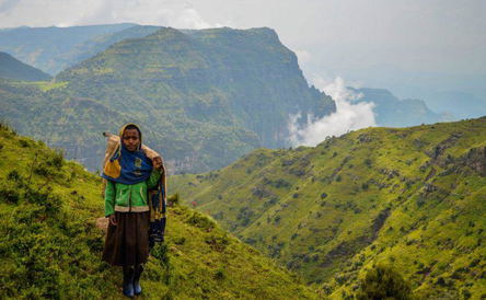13 Days Trekking in Semien Mountain