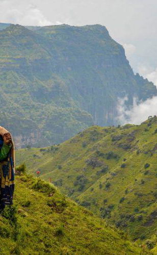 Trekking Tours