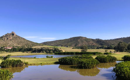 14 or 21 or 28 DAY WESTERN CAPE - GARDENROUTE