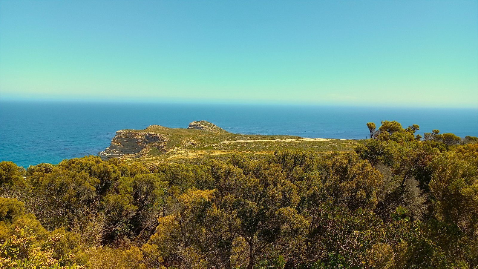 CAPE PENINSULA PRIVATE DAY TOUR
