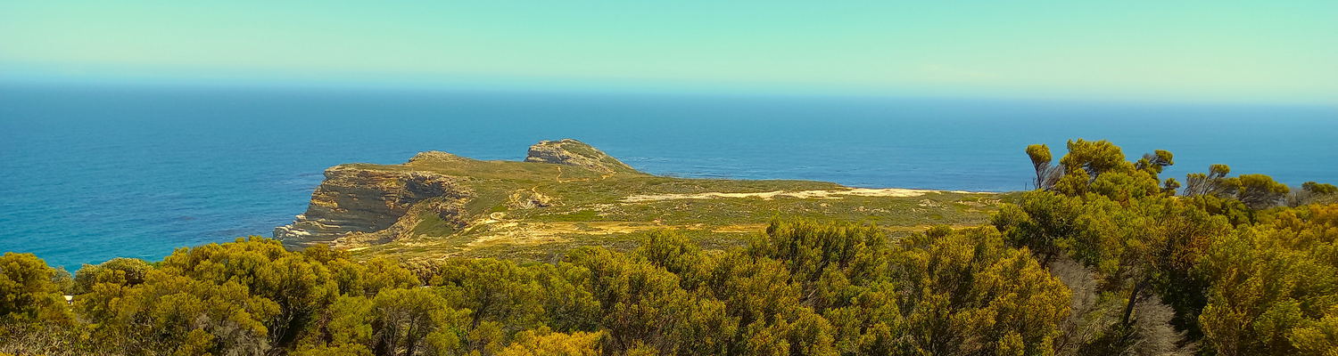 CAPE PENINSULA PRIVATE DAY TOUR