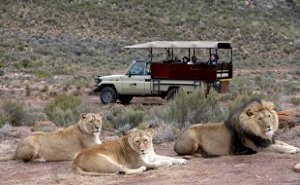 AQUILA GAME RESERVE DAY TOUR