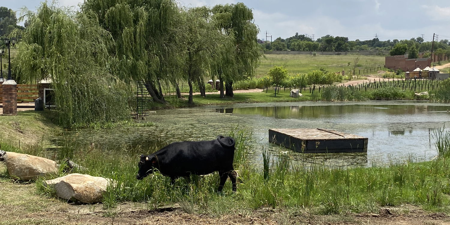 On A Bespoke Permaculture Farm