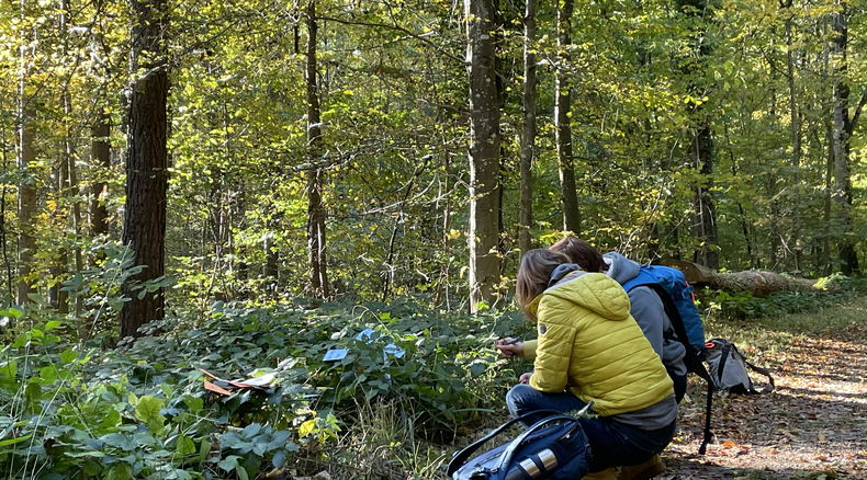 Nature Coaching Nature Coaching