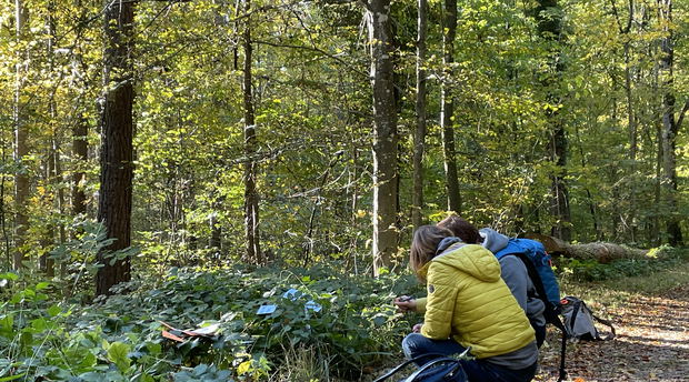 Nature Coaching