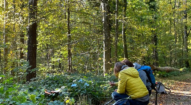 Nature Coaching Nature Coaching