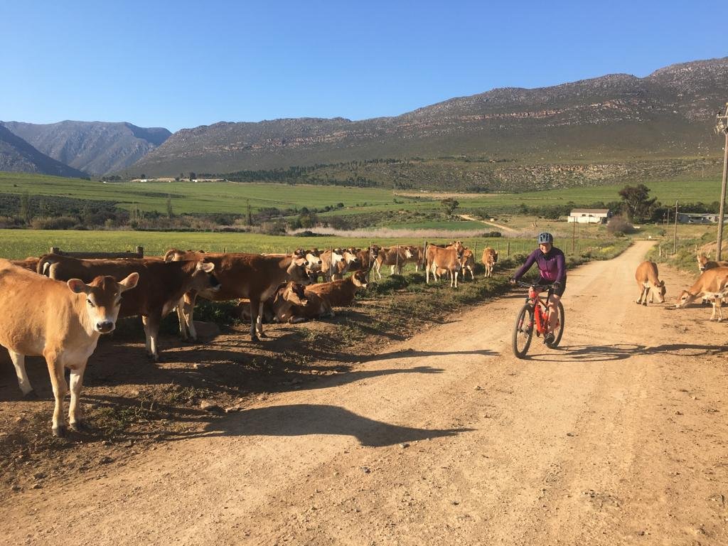 The Barrydale Cycle Loop