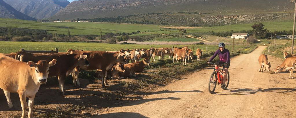 The Barrydale Cycle Loop