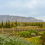 Right on our doorstep. Yamu Botanicals and a fabulous new Barrydale experience 