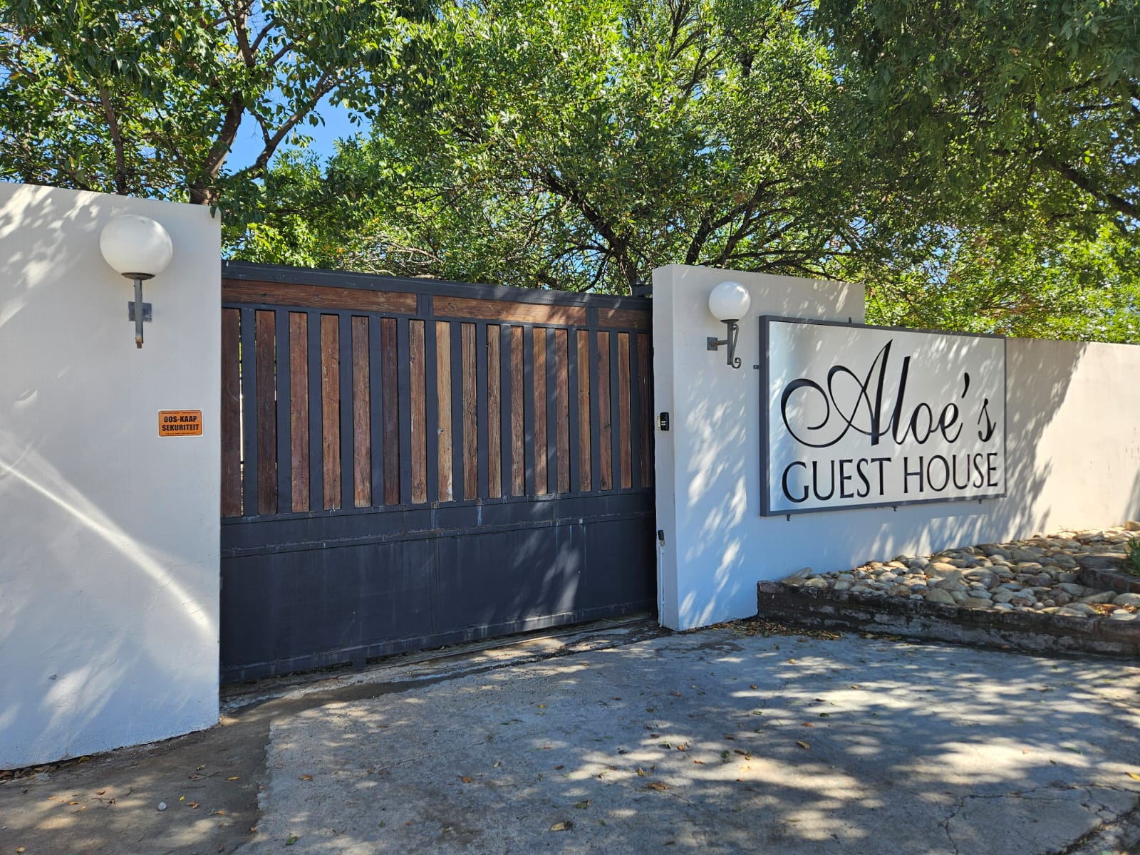 Aloe's 62 on Meintjies