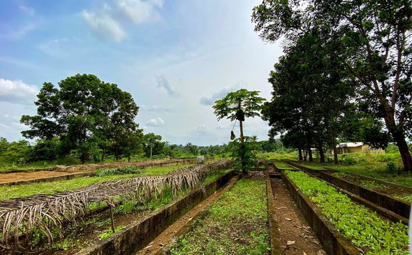 Farmers' Paradise at Wulki Farms