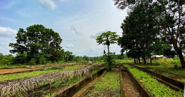 Farmers' Paradise at Wulki Farms - Liberia Tourism