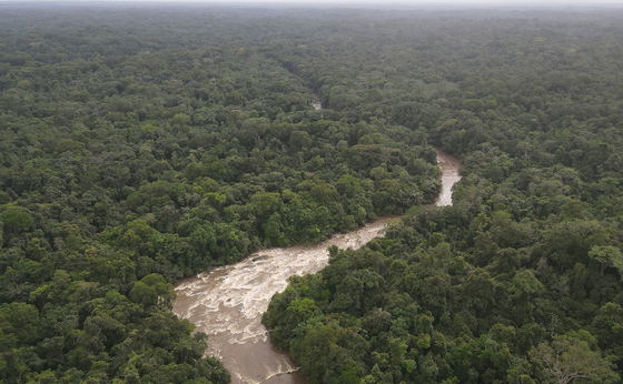 Sapo National Park