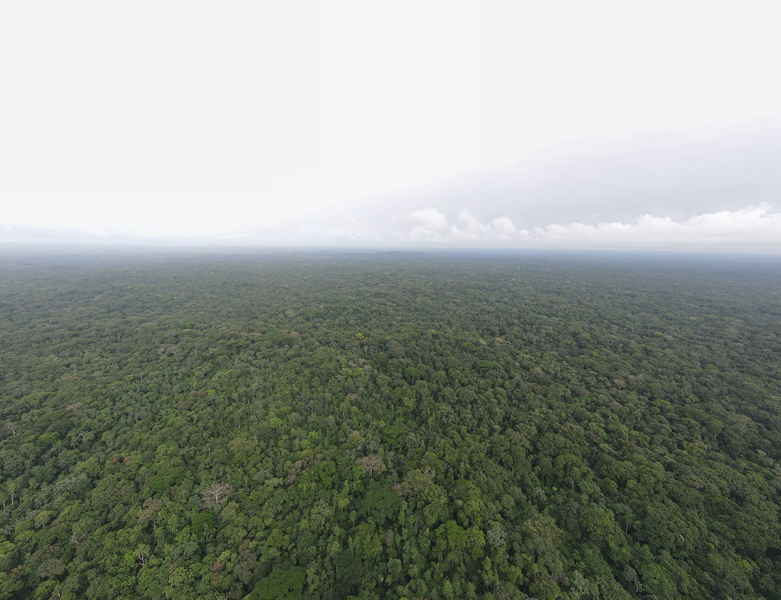 Sapo National Park