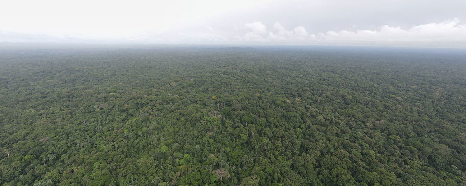 Sapo National Park