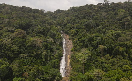 Discover Gbarpolu County