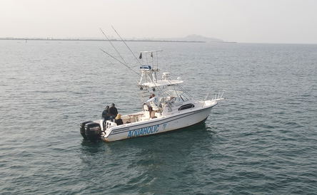 Discover Fishing in Liberia