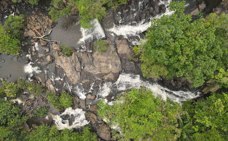 Discover Bong County