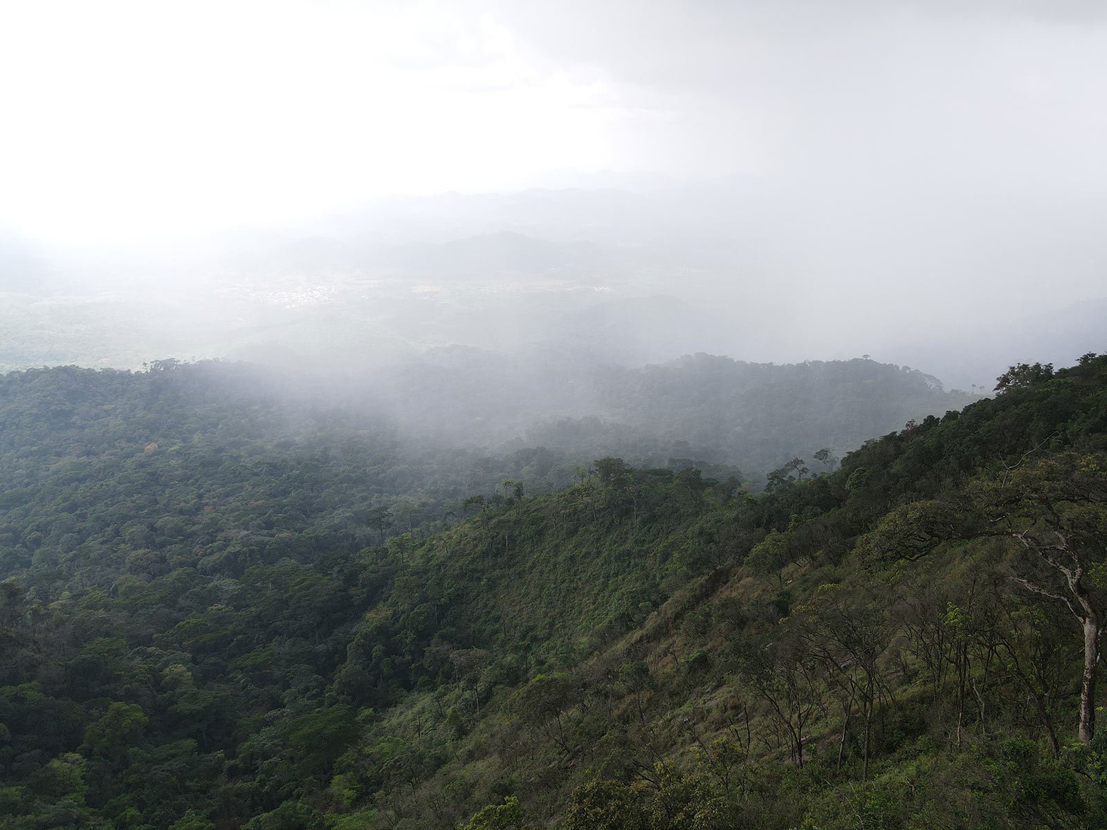 Trekking and Hiking