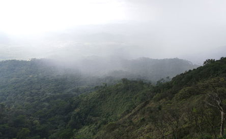 Discover Trekking and Hiking in Liberia