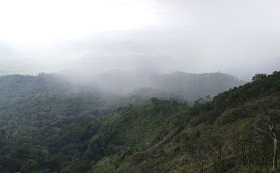Discover Trekking and Hiking in Liberia