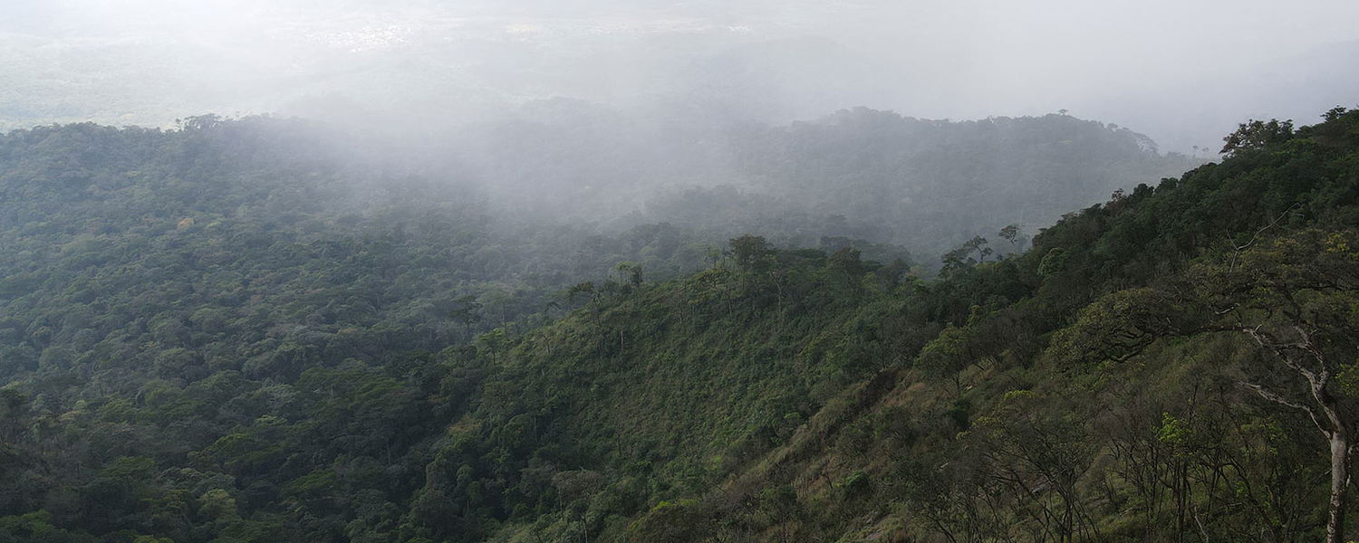 Trekking and Hiking